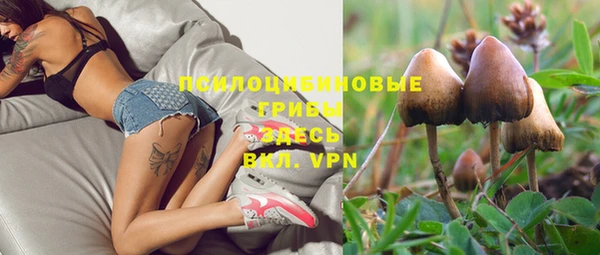 кокс Аркадак